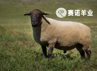 薩?？?> </a> <a href=